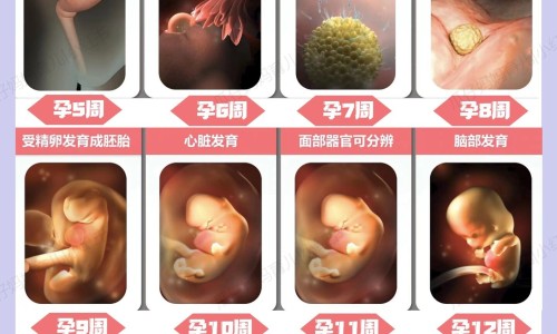 糖尿病人怕冷吃什么药好呢网 - 糖尿病人怕冷吃什么药好呢视频,糖尿病人怕冷吃什么药好呢女性